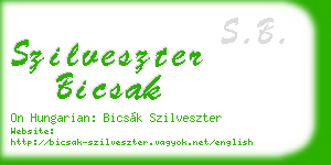szilveszter bicsak business card