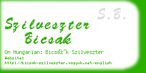 szilveszter bicsak business card